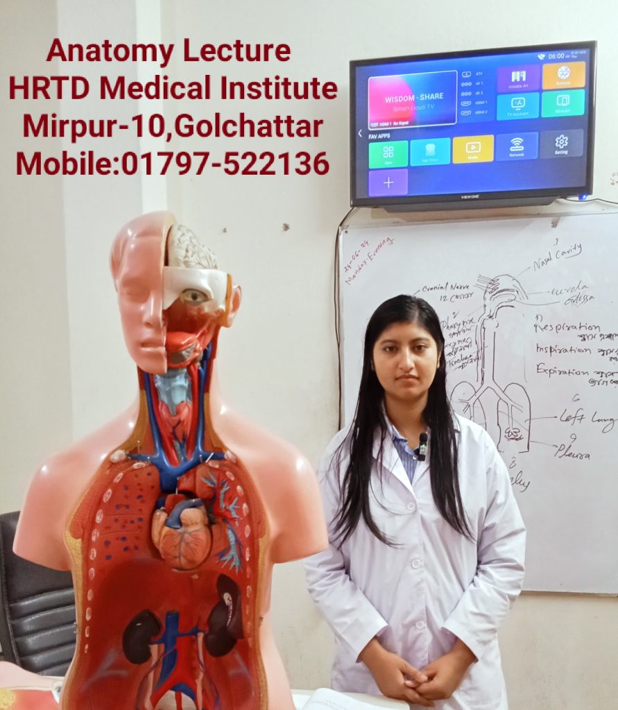 Physiotherapy Anatomy Lecture