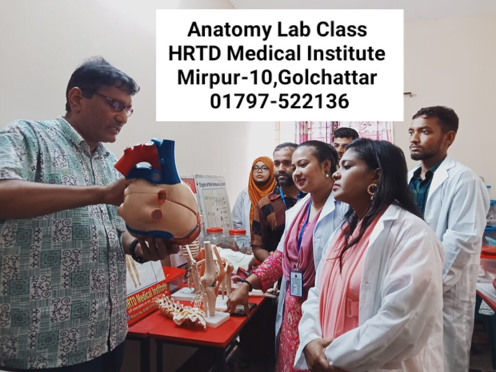 Diploma In Dental Course 4 Years Anatomy Class