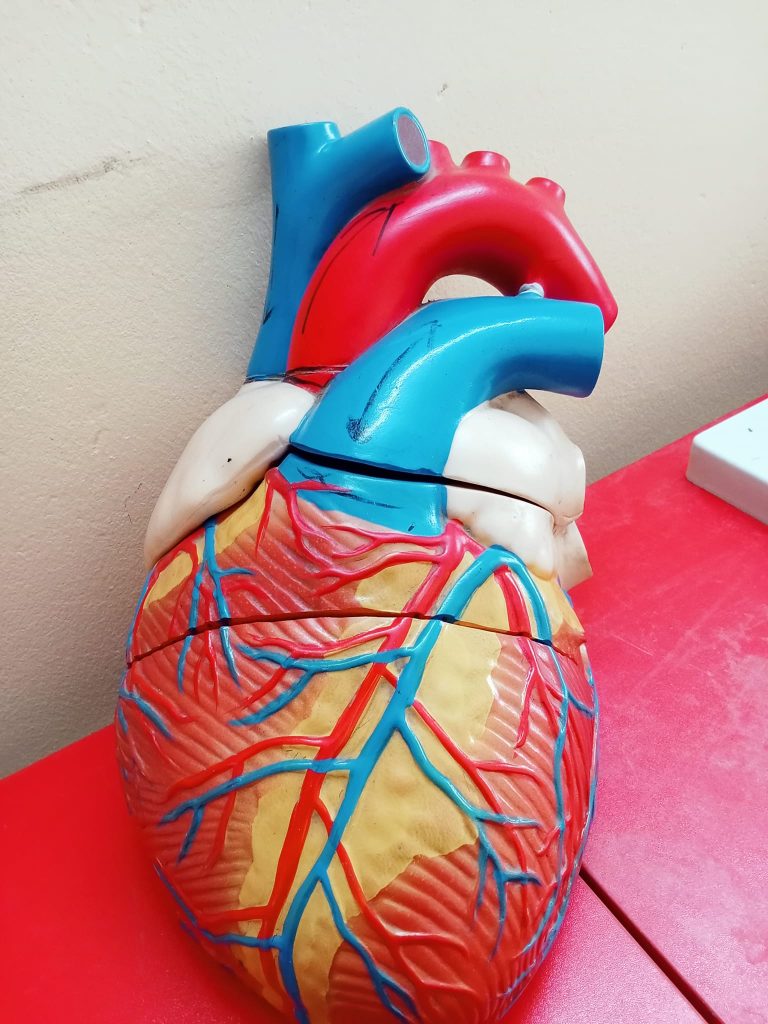 Diploma In Pathological Lab Technology 4 Years